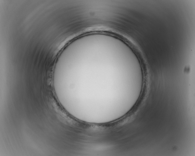 X0000111580929200907161152