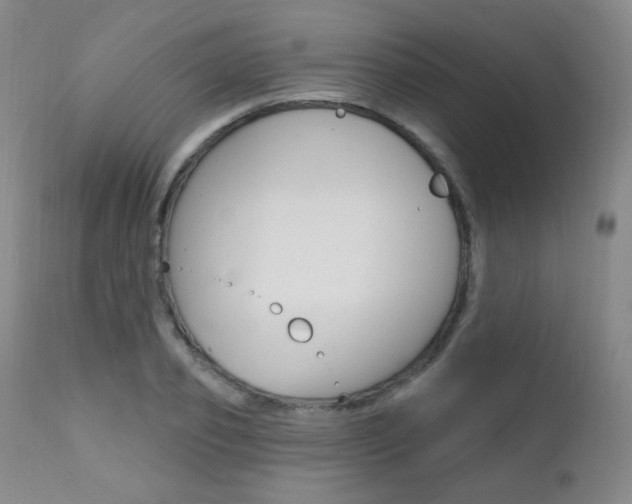 X0000111580933200907161152