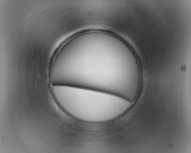 X0000111580935200907161152