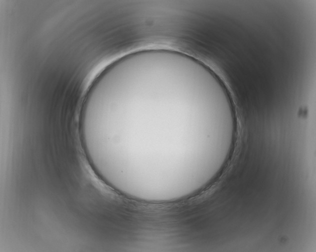 X0000111580936200907161152