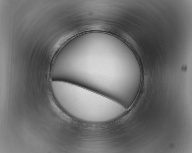 X0000111580938200907161152