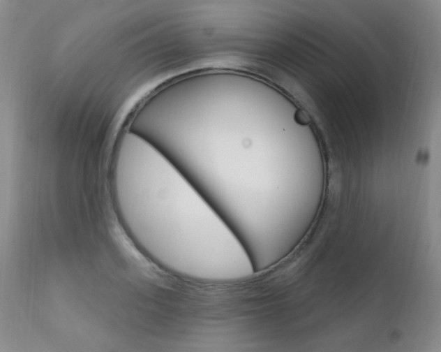 X0000111580939200907161152