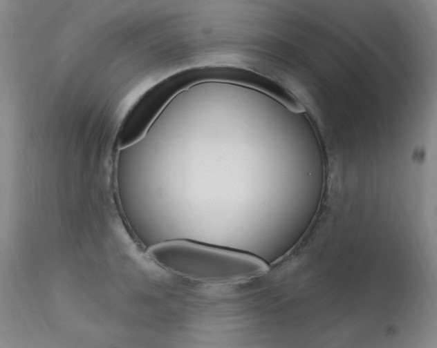 X0000111580944200907161152