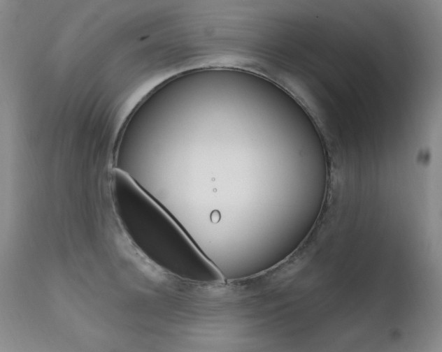 X0000111580948200907161152