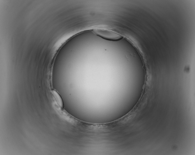 X0000111580952200907161153