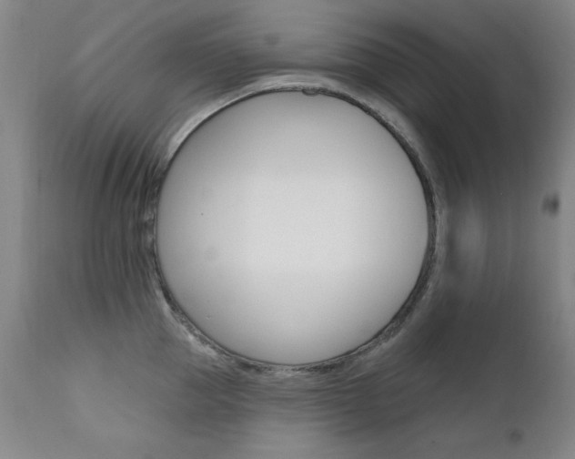 X0000111580953200907161153