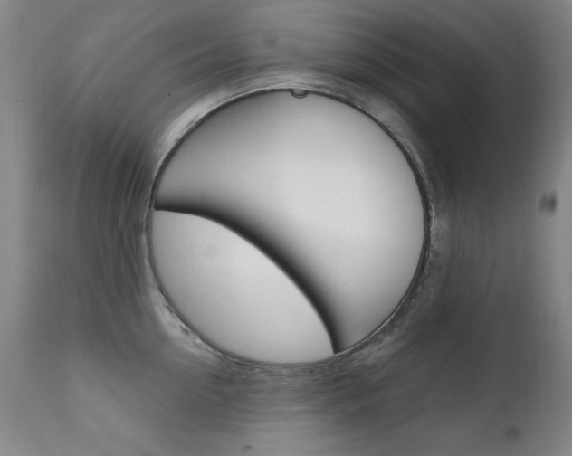 X0000111580954200907161153