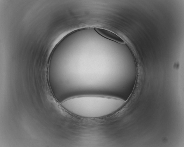 X0000111580956200907161153