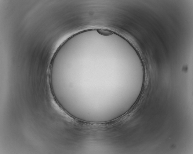 X0000111580958200907161153