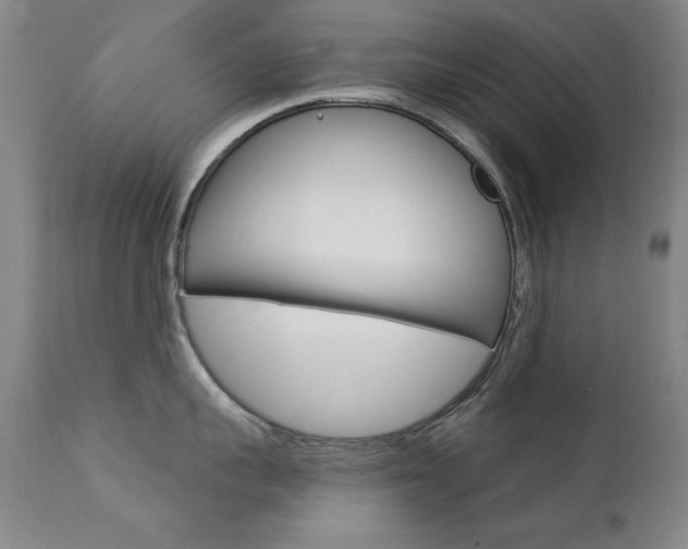X0000111580959200907161153
