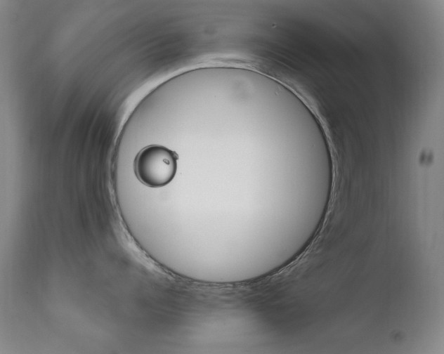 X0000111580960200907161153