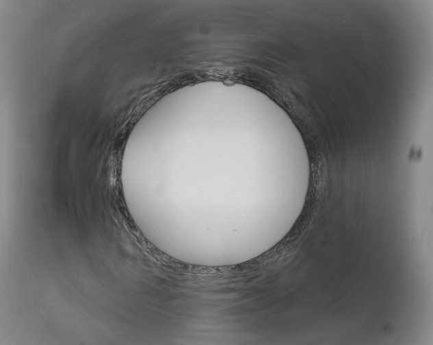 X0000111580962200907161152