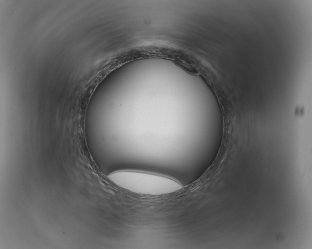 X0000111580965200907161152