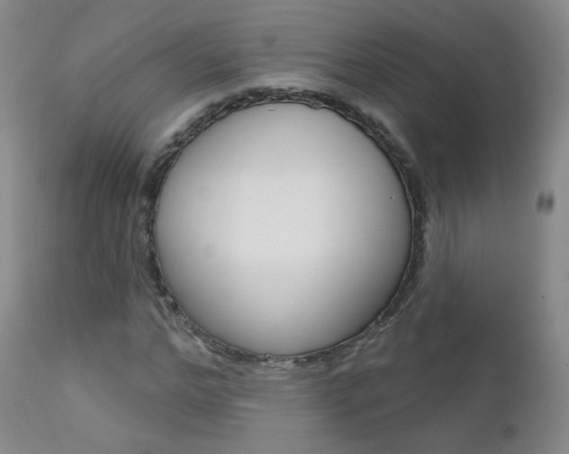 X0000111580968200907161152