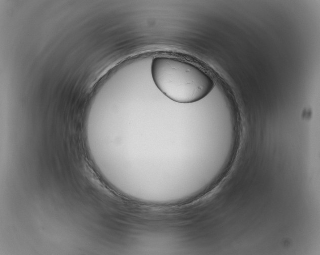 X0000111580969200907161152
