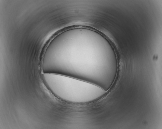 X0000111580972200907161152