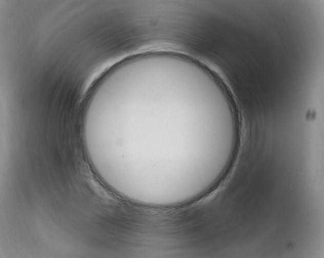 X0000111580973200907161152