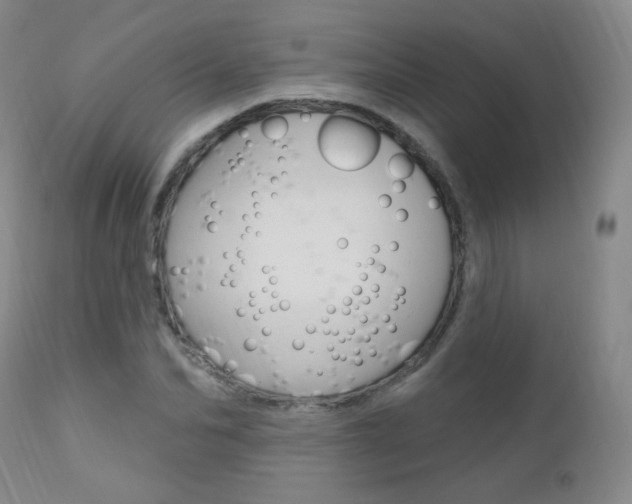 X0000111580974200907161152