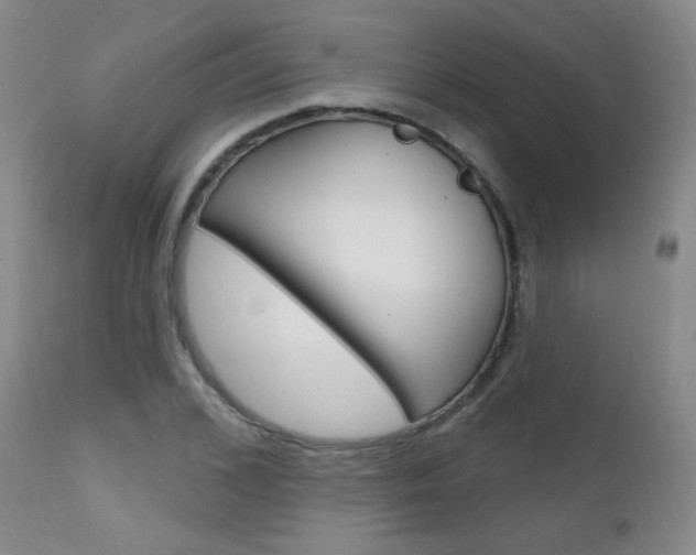 X0000111580976200907161152