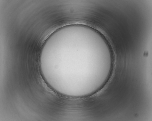 X0000111580977200907161152
