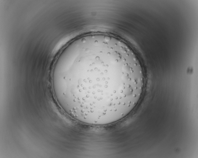 X0000111580978200907161152