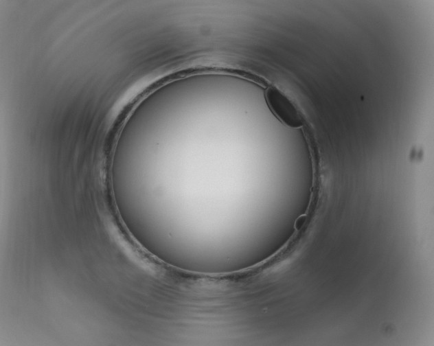 X0000111580981200907161152