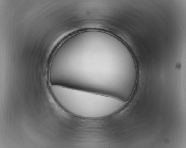 X0000111580984200907161151