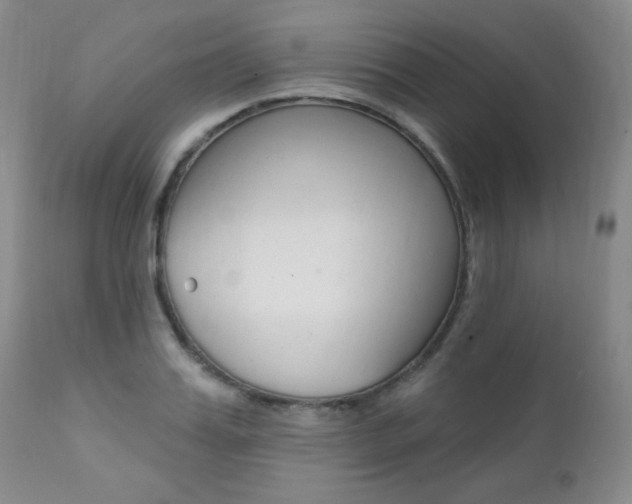 X0000111580987200907161151