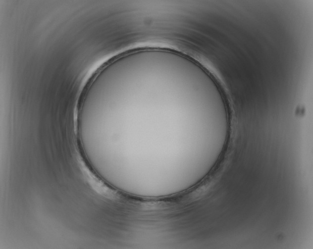 X0000111580988200907161151