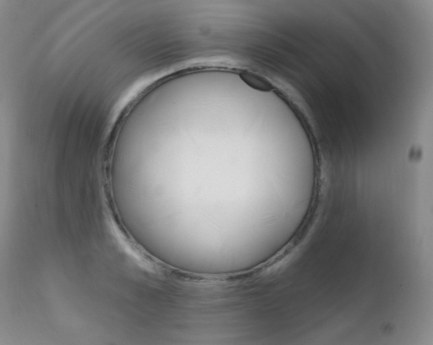 X0000111580989200907161151