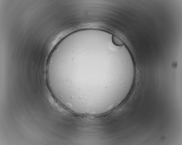 X0000111580994200907161151