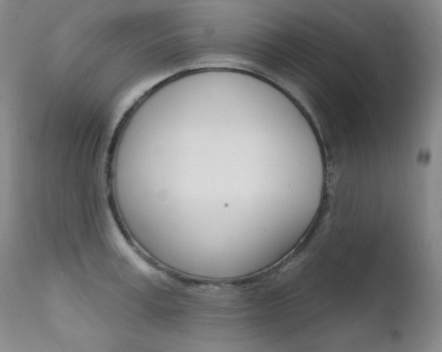 X0000111580995200907161151