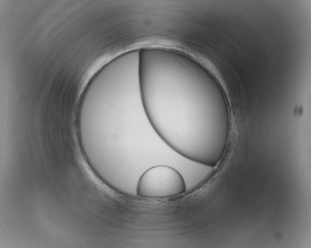 X0000111580997200907161151