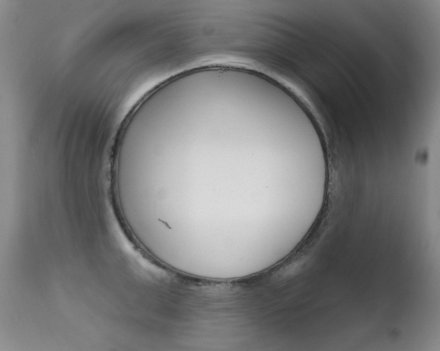X0000111580999200907161151