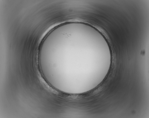 X0000111581000200907161151