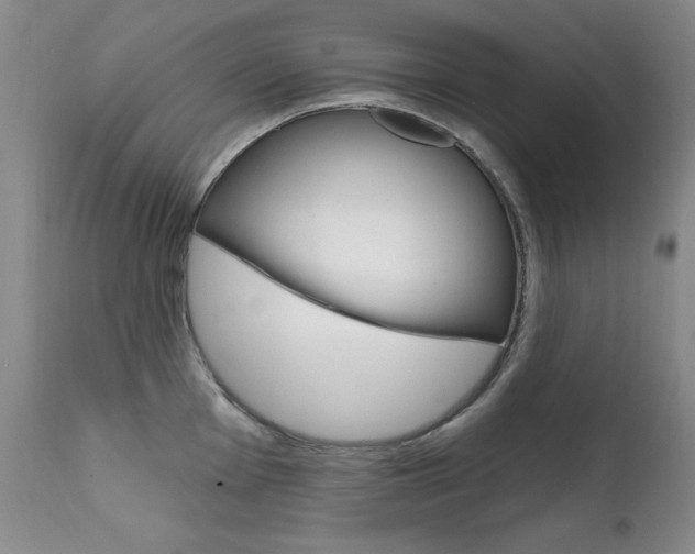 X0000111581001200907161151