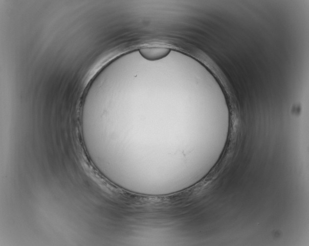 X0000111581002200907161151