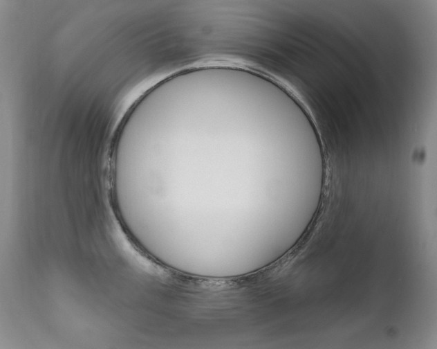 X0000111581003200907161151