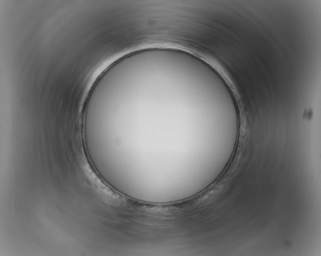 X0000111581004200907161151
