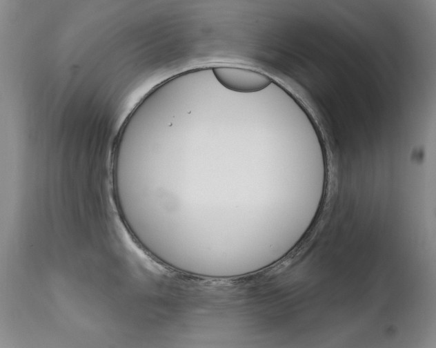 X0000111581006200907161151