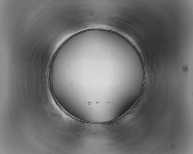 X0000111581007200907161151