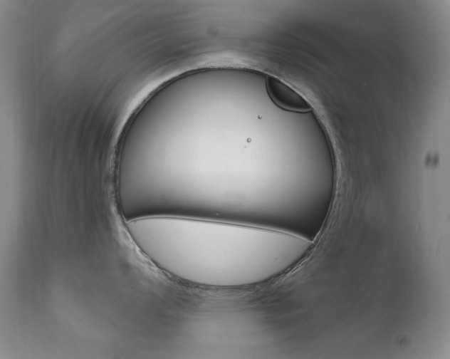 X0000111581008200907161151