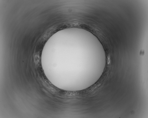 X0000111581011200907161151