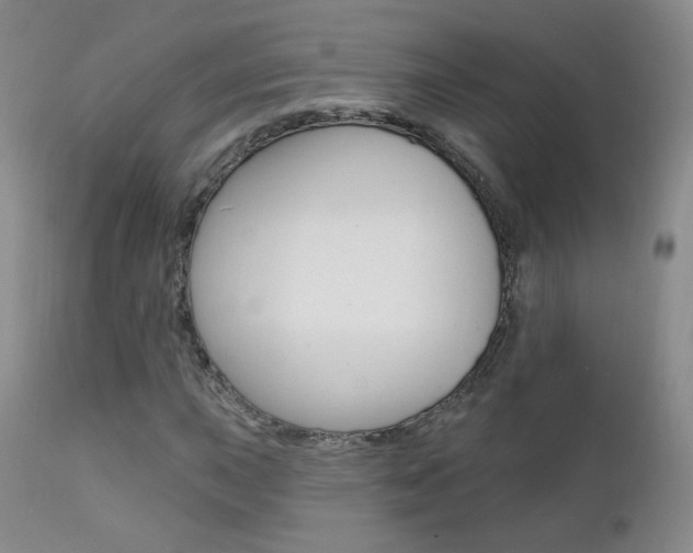 X0000111581015200907161151
