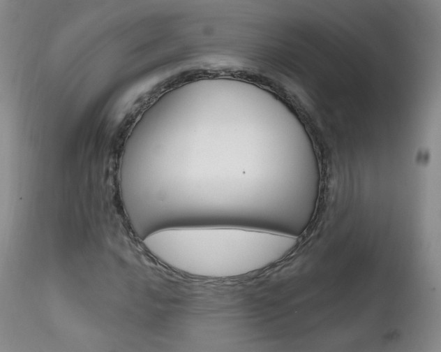 X0000111581016200907161151