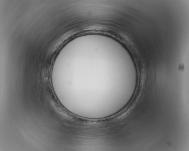 X0000111581017200907161151