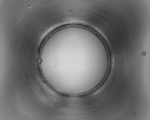 X0000111581021200907161151