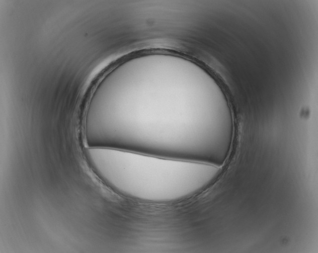 X0000111581024200907161151