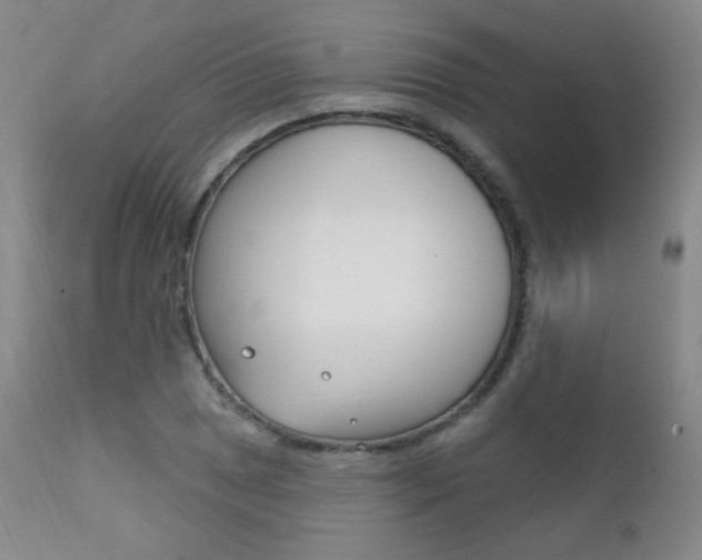 X0000111581025200907161151