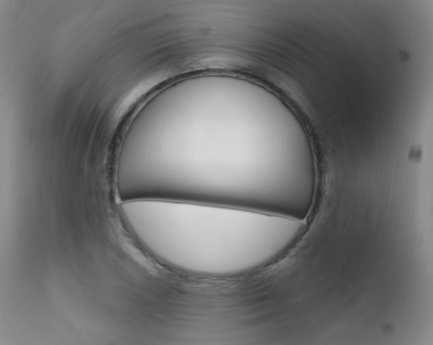 X0000111581026200907161151